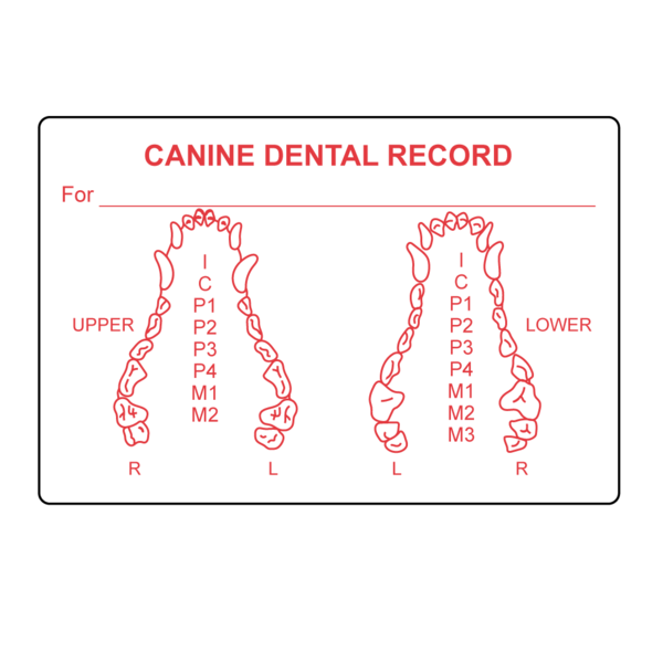 Nevs Canine Dental Label 2" x 3" White w/Red VW-0062